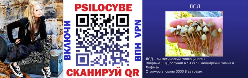 цена   Ильский  Галлюциногенные грибы Cubensis 